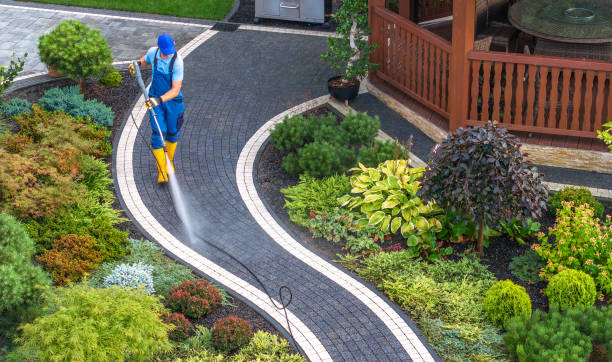 Best Pressure Washing Near Me  in Oakwood, IL